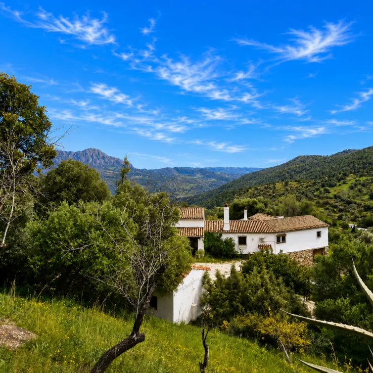 Sale of finca - cortijo in Gaucín