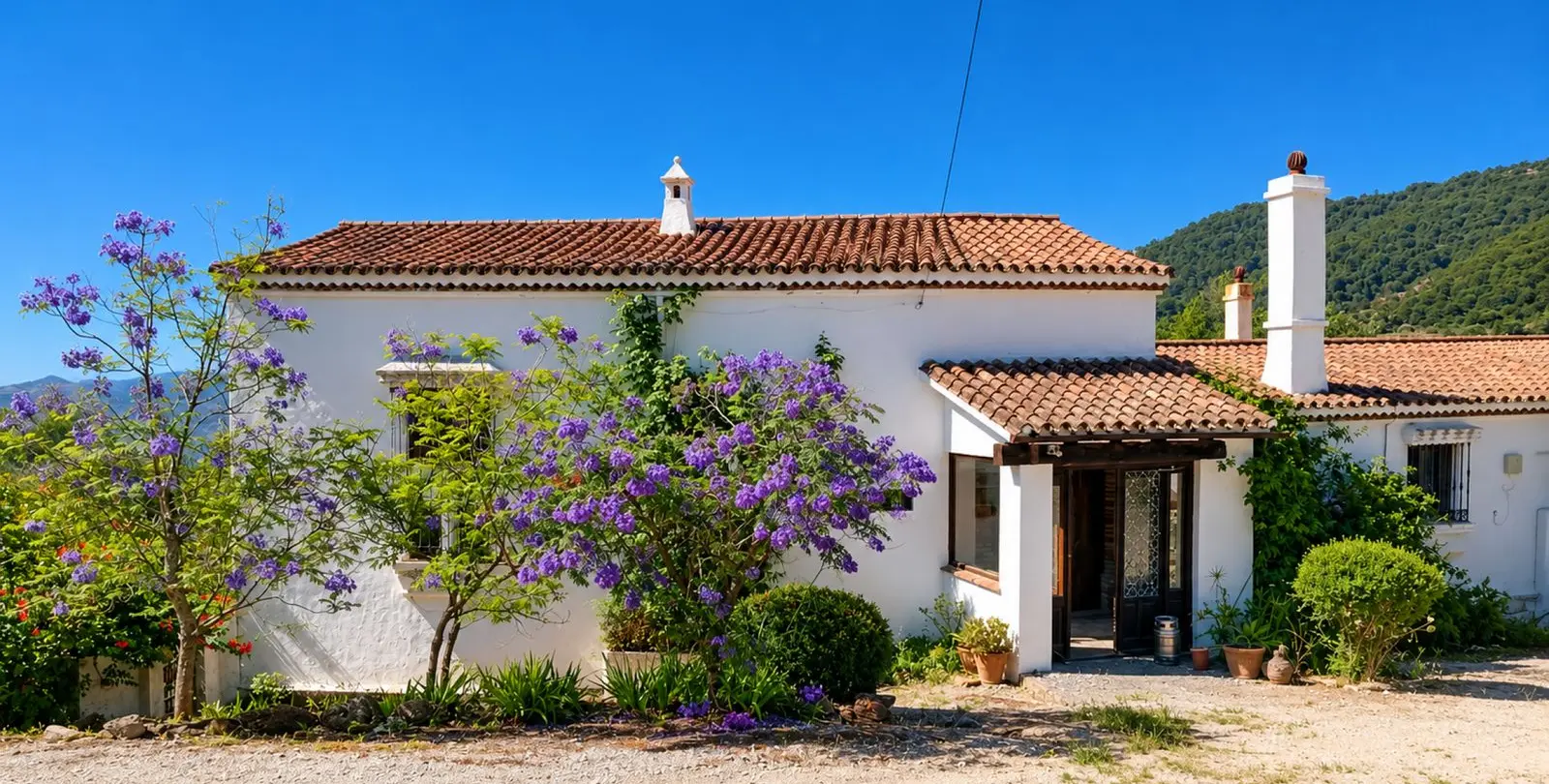 Venta de finca - cortijo en Gaucín 2