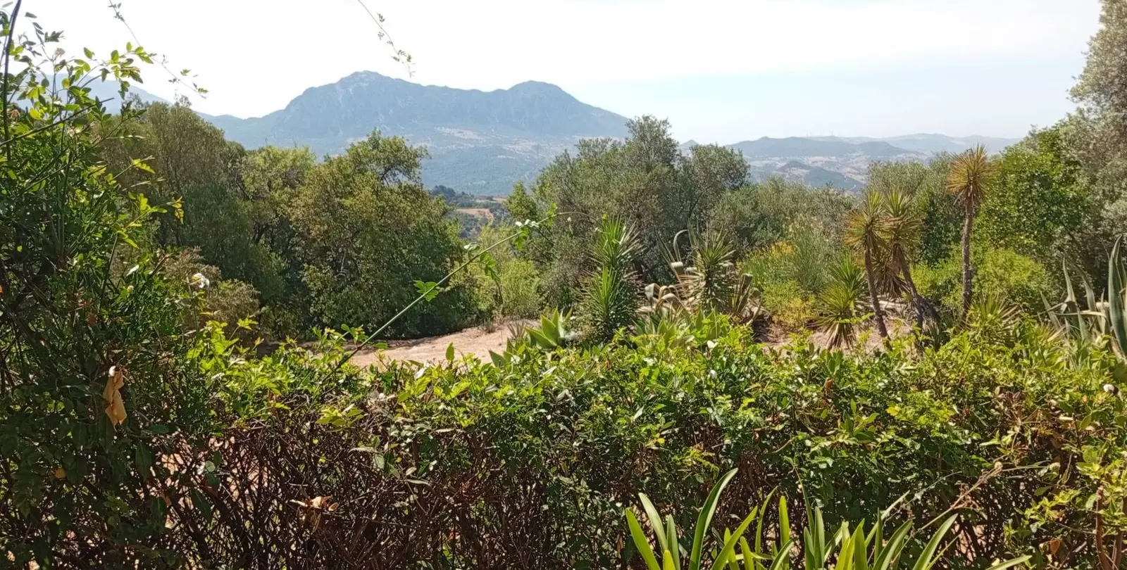 Venta de finca - cortijo en Gaucín 5