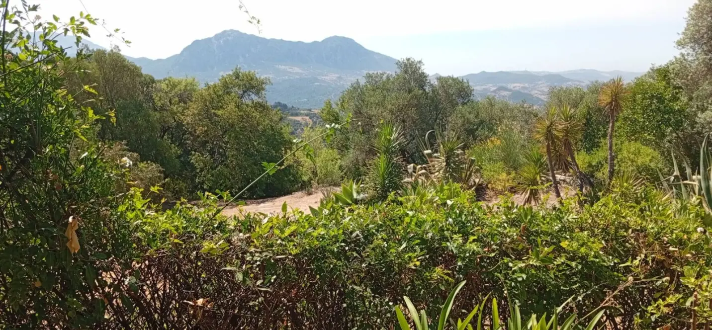 Sale of finca - cortijo in Gaucín 4