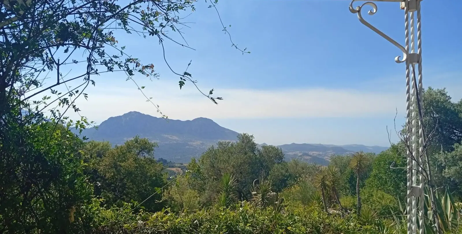 Venta de finca - cortijo en Gaucín 7