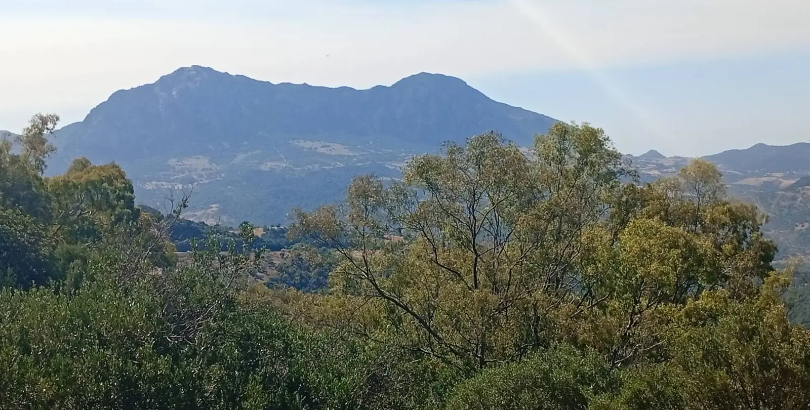 Venta de finca - cortijo en Gaucín 12