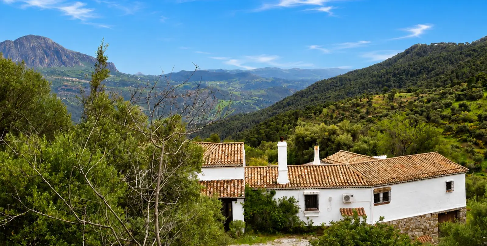 Venta de finca - cortijo en Gaucín 13