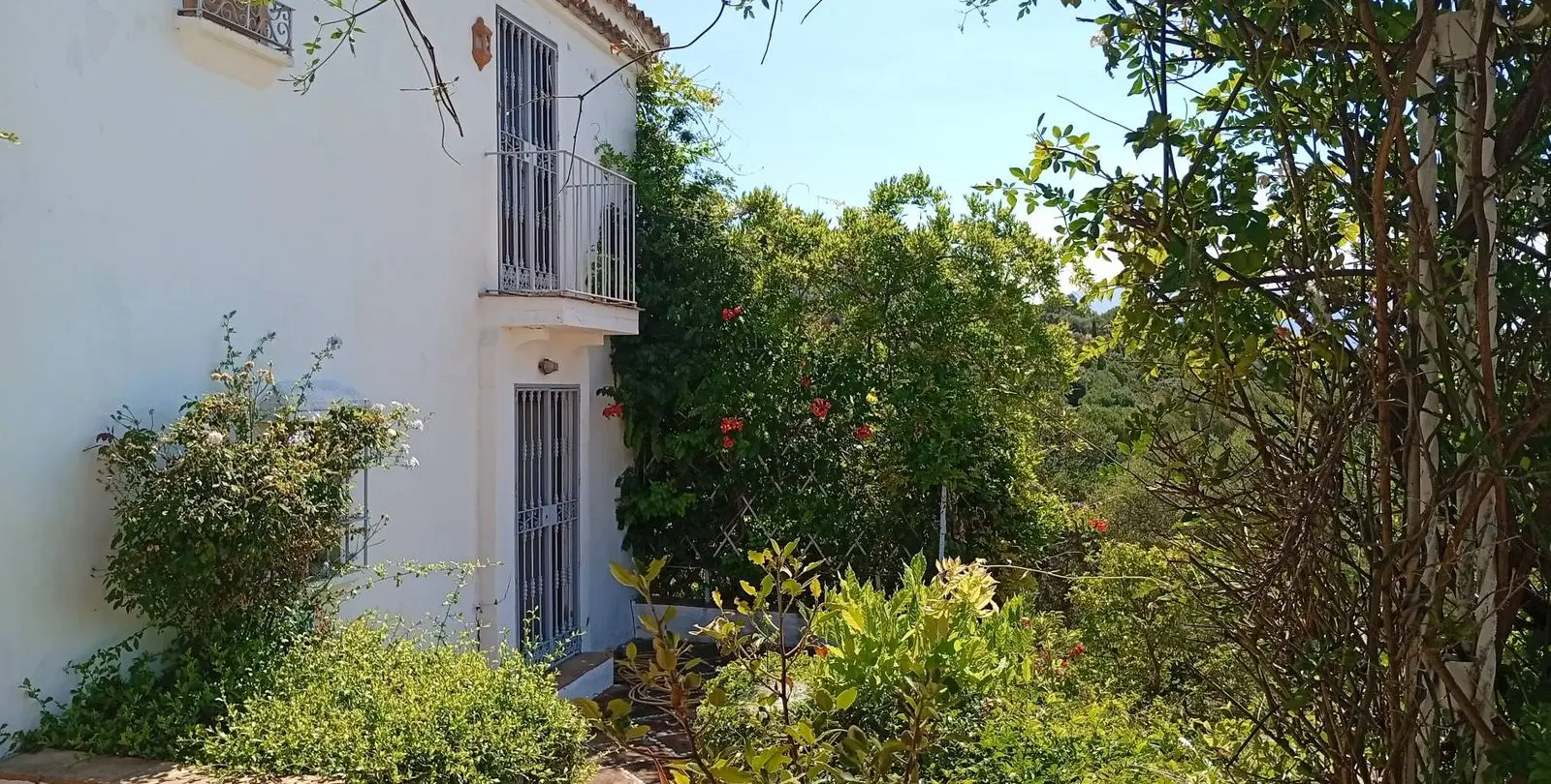 Venta de finca - cortijo en Gaucín 45