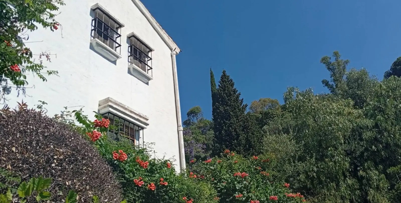 Venta de finca - cortijo en Gaucín 46