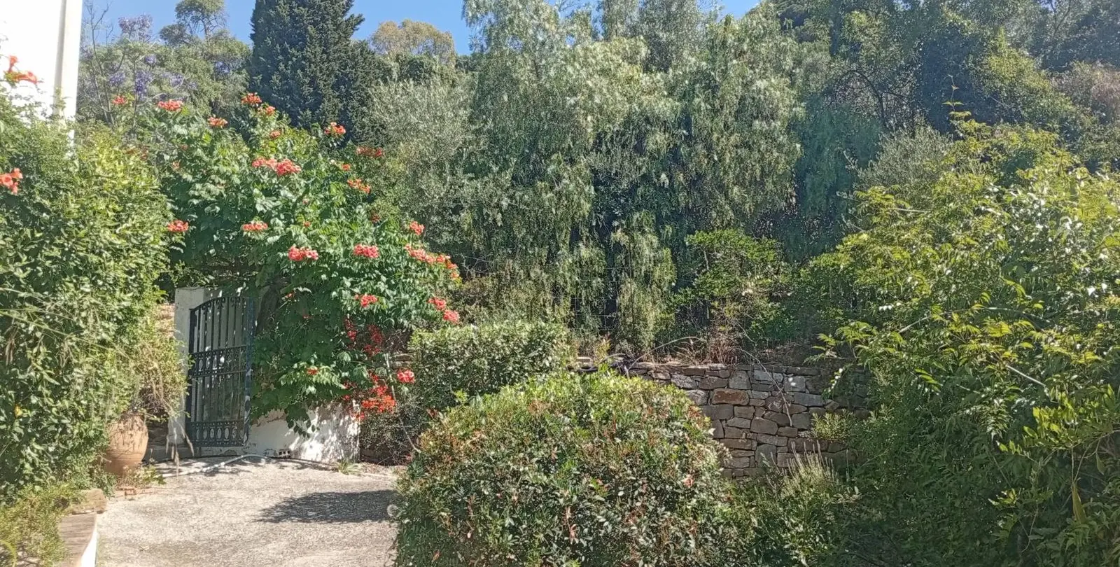 Venta de finca - cortijo en Gaucín 49