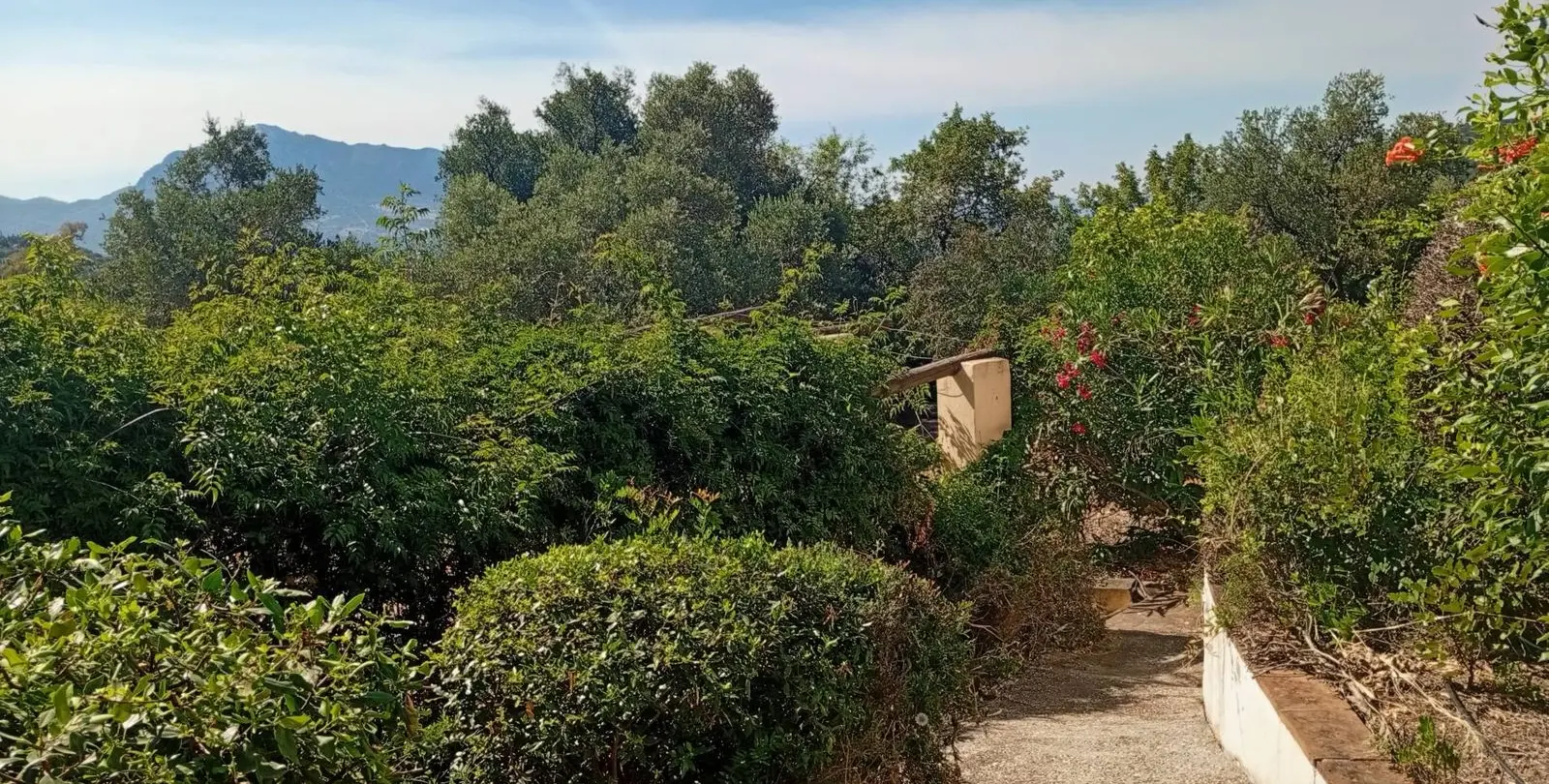 Venta de finca - cortijo en Gaucín 50