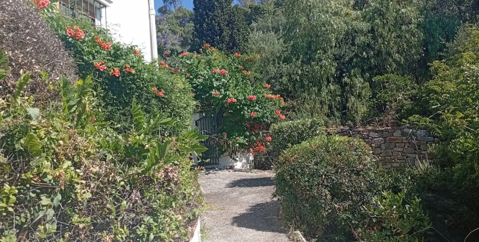 Venta de finca - cortijo en Gaucín 51