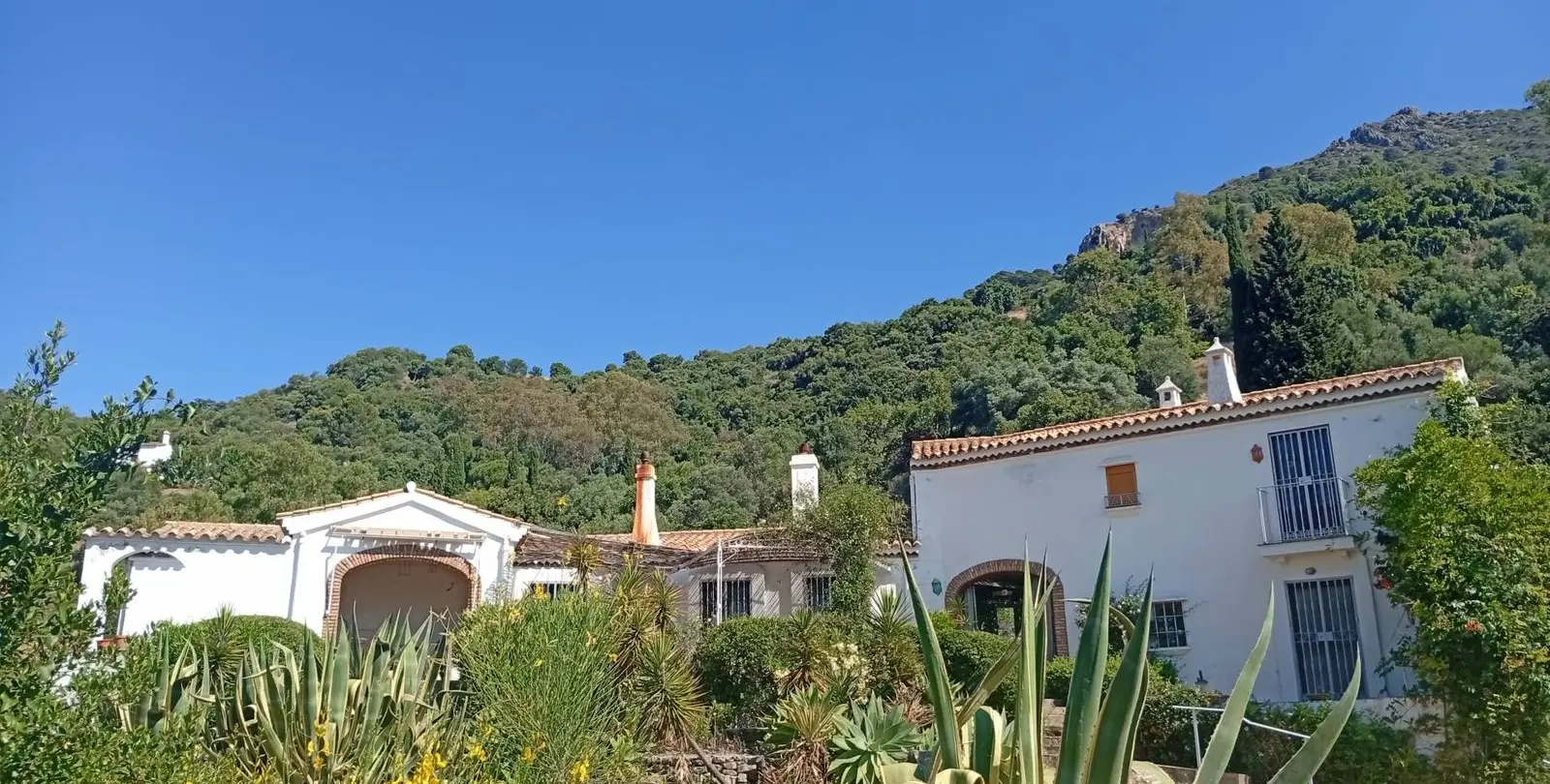 Venta de finca - cortijo en Gaucín 53