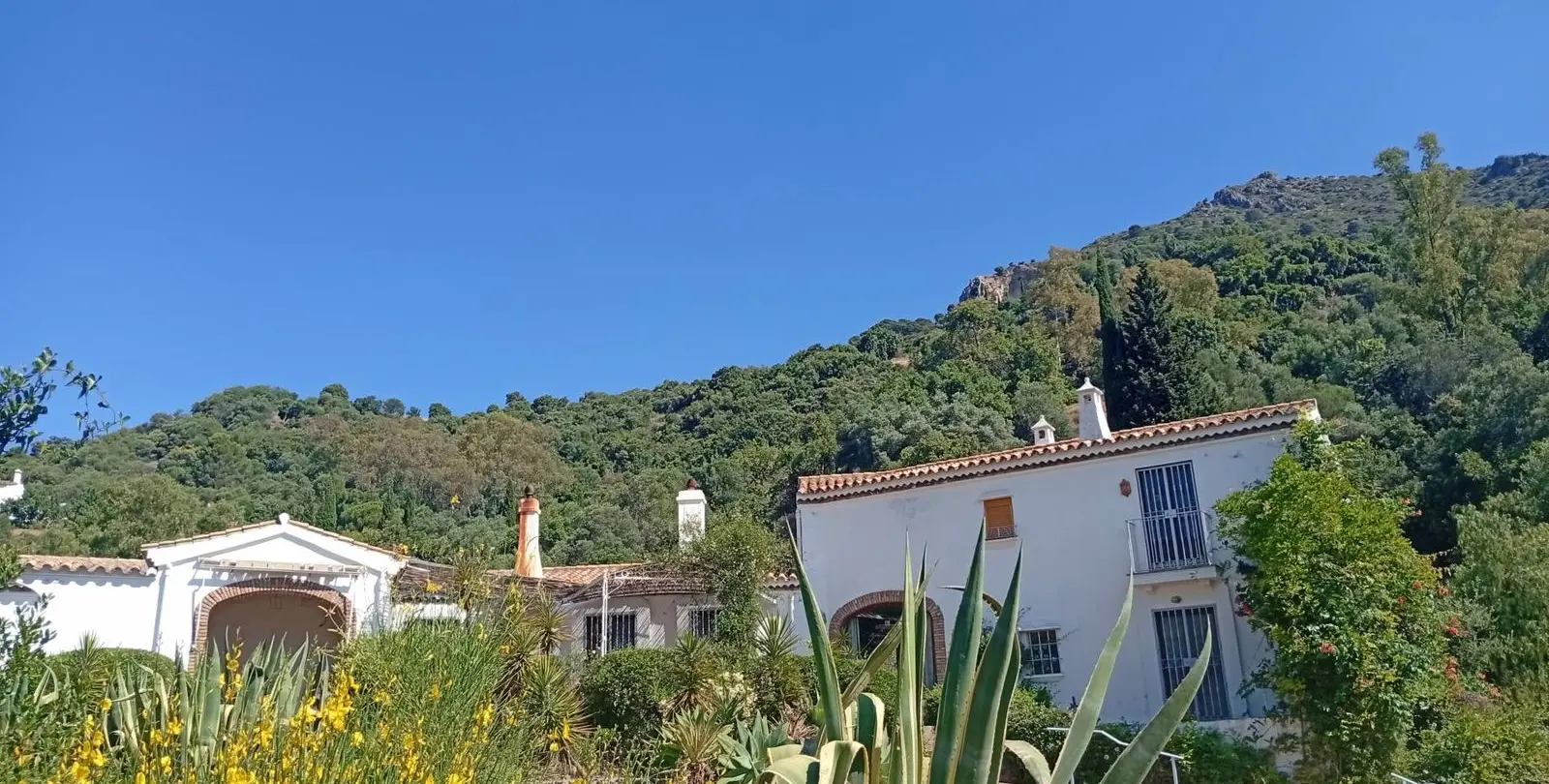 Venta de finca - cortijo en Gaucín 54