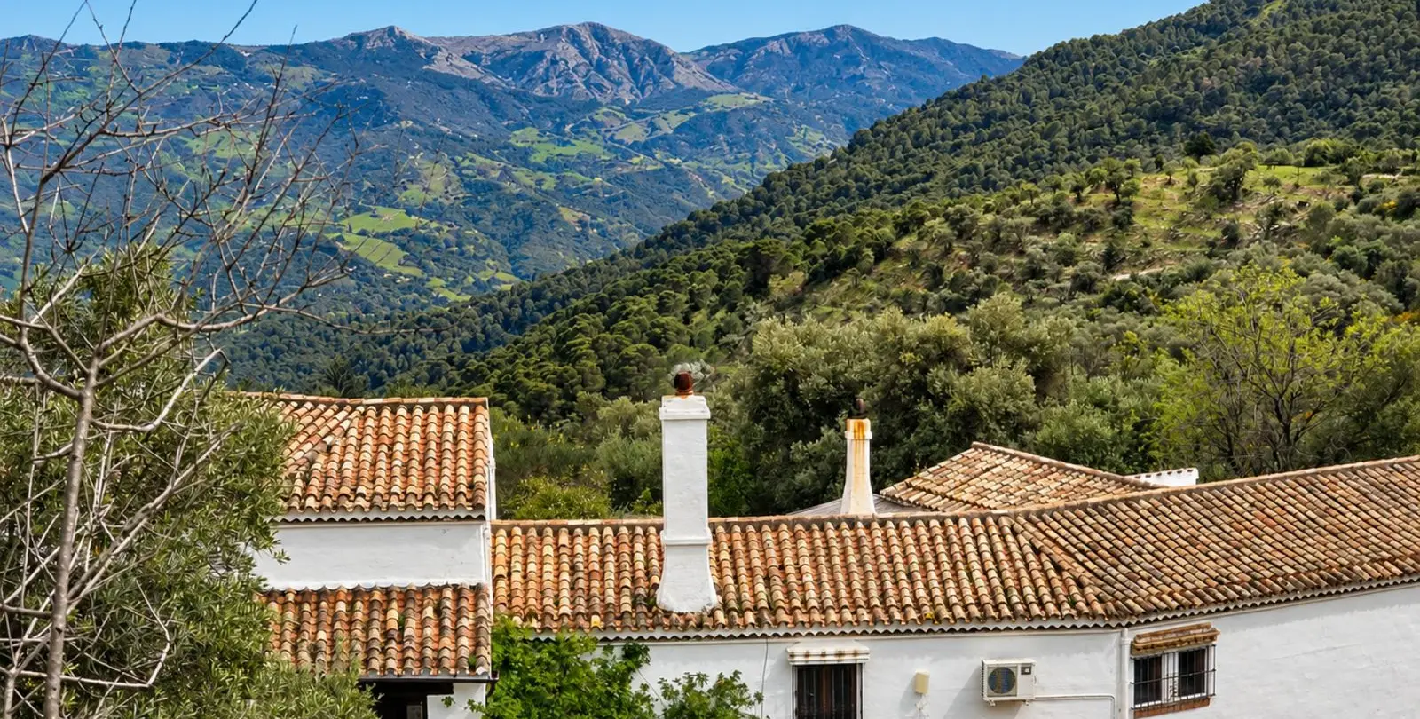 Venta de finca - cortijo en Gaucín 55