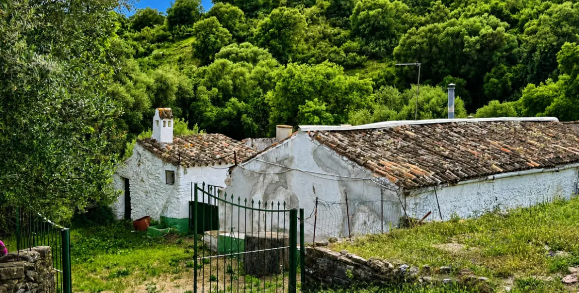 Sale of farm in Gaucín 1
