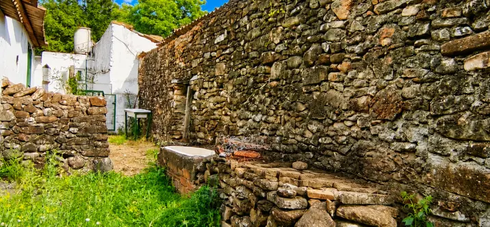 Sale of farm in Gaucín 1