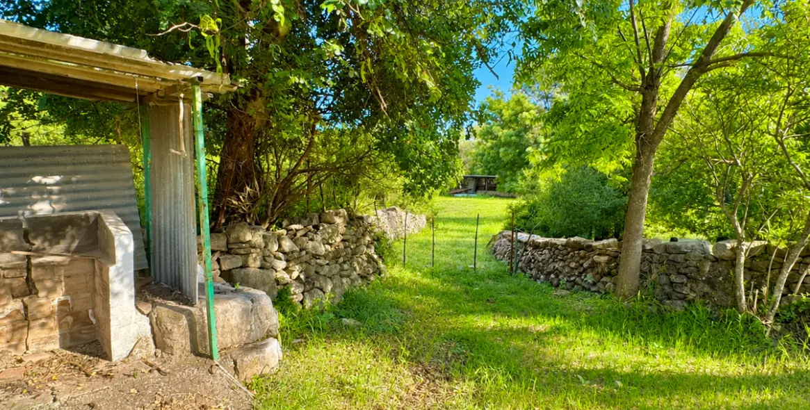 Sale of farm in Gaucín 3