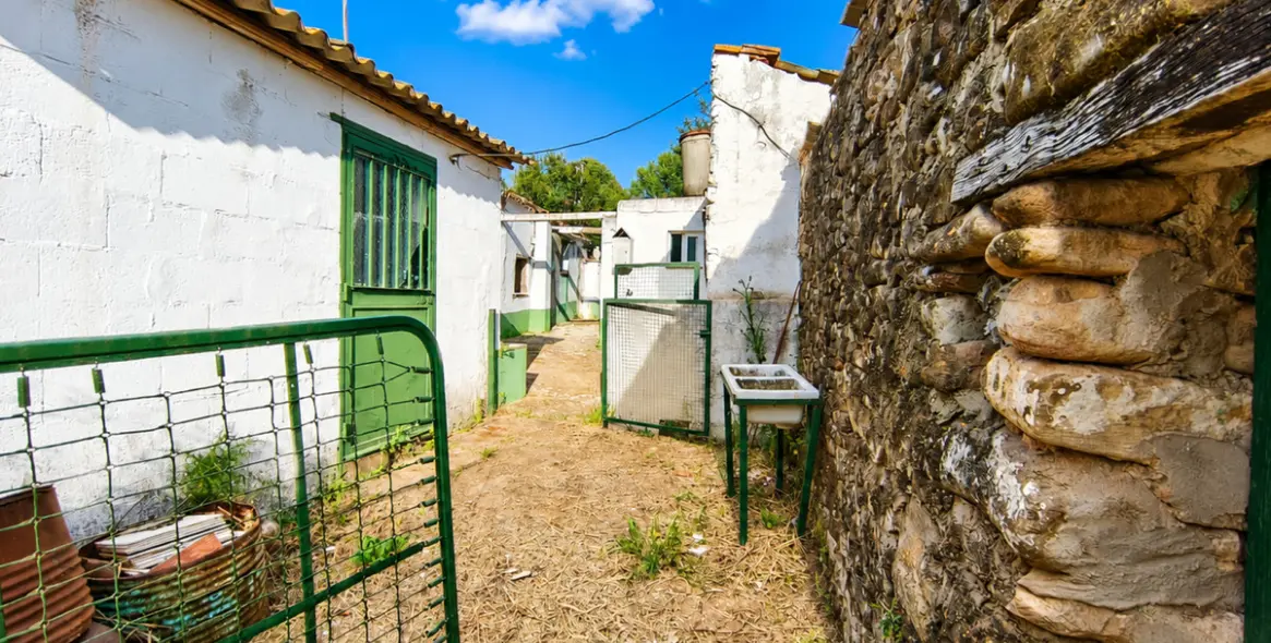 Sale of farm in Gaucín 6