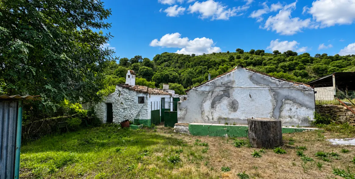 Sale of farm in Gaucín 7