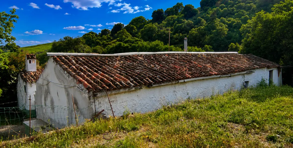 Sale of farm in Gaucín 11