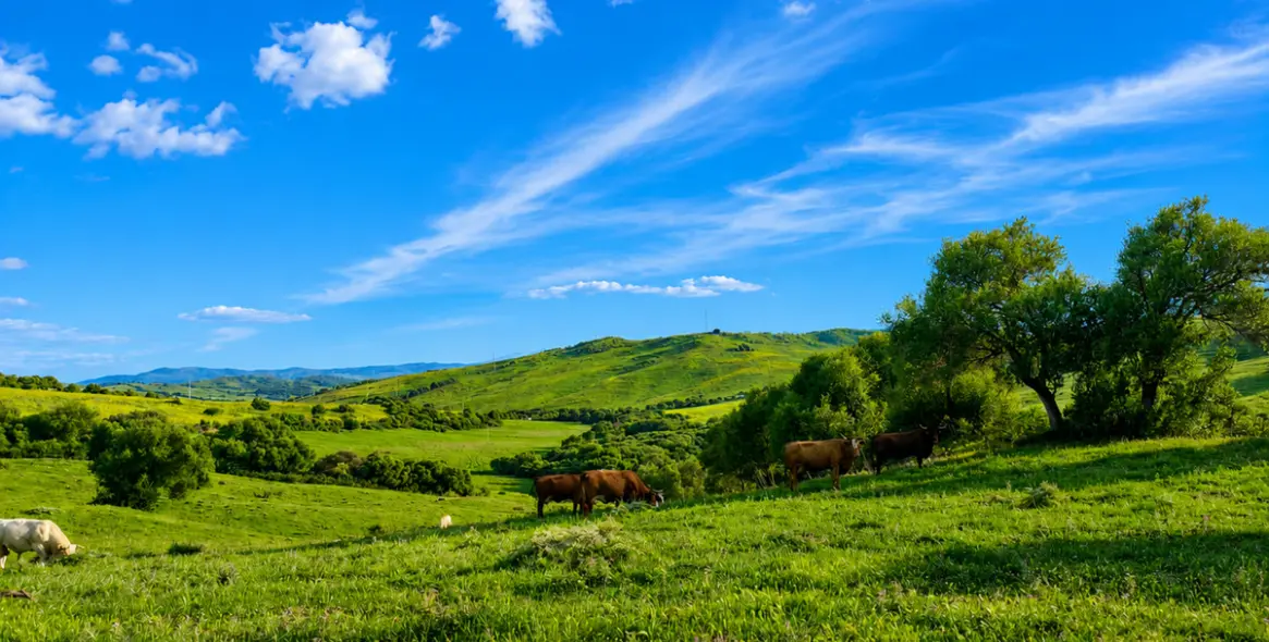 Sale of farm in Gaucín 23