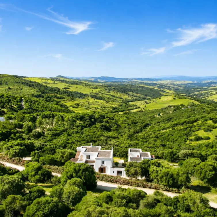 Sale of finca - cortijo in Gaucín