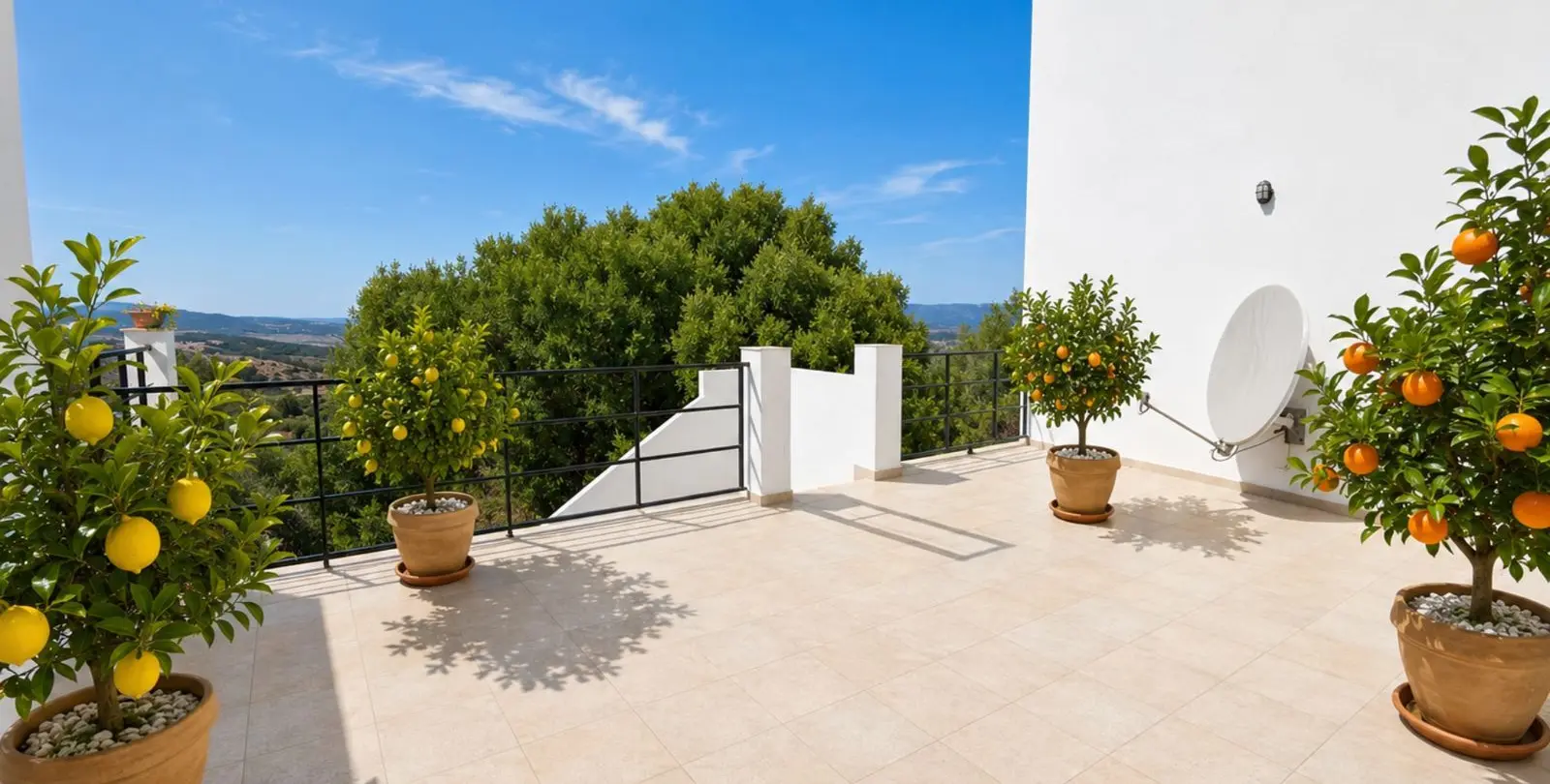 Sale of finca - cortijo in Gaucín 31