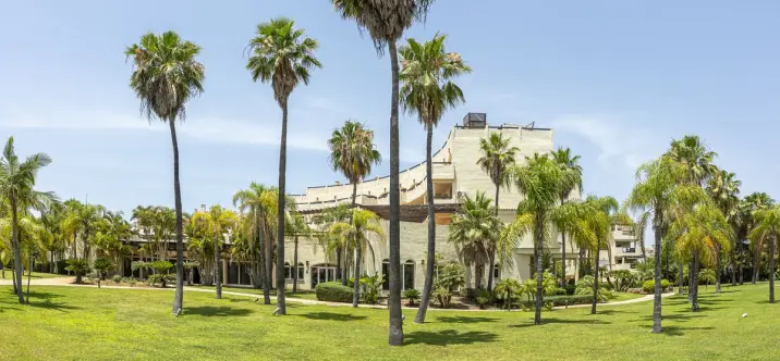Sale of commercial premises in El Paraiso 0