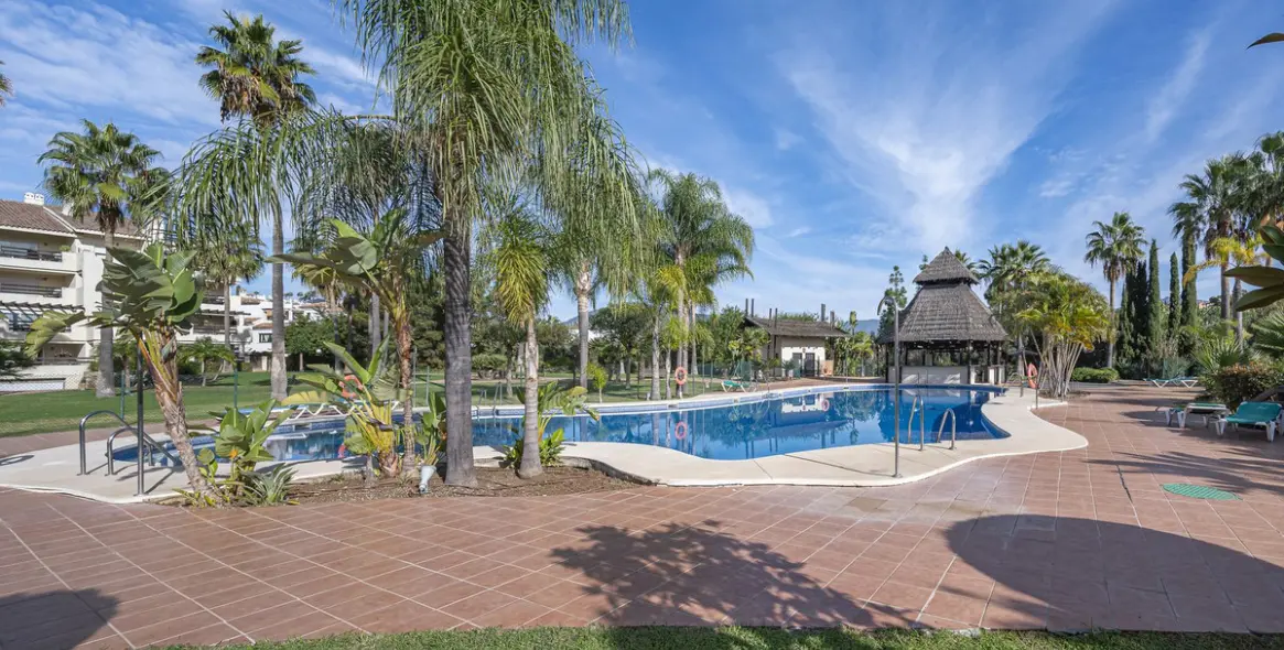 Продажа коммерческого помещения в El Paraiso 108