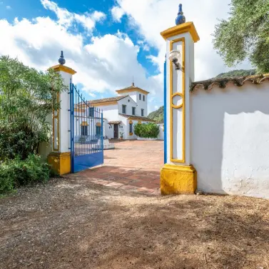 Venta de finca - cortijo en Ronda