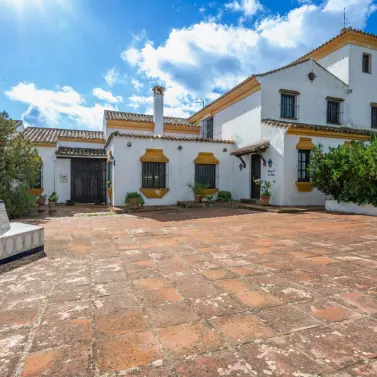 Venta de finca - cortijo en Ronda