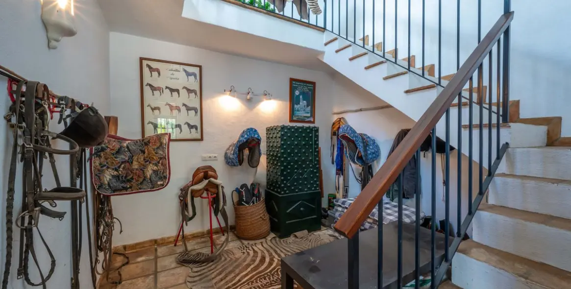 Venta de finca - cortijo en Ronda 25