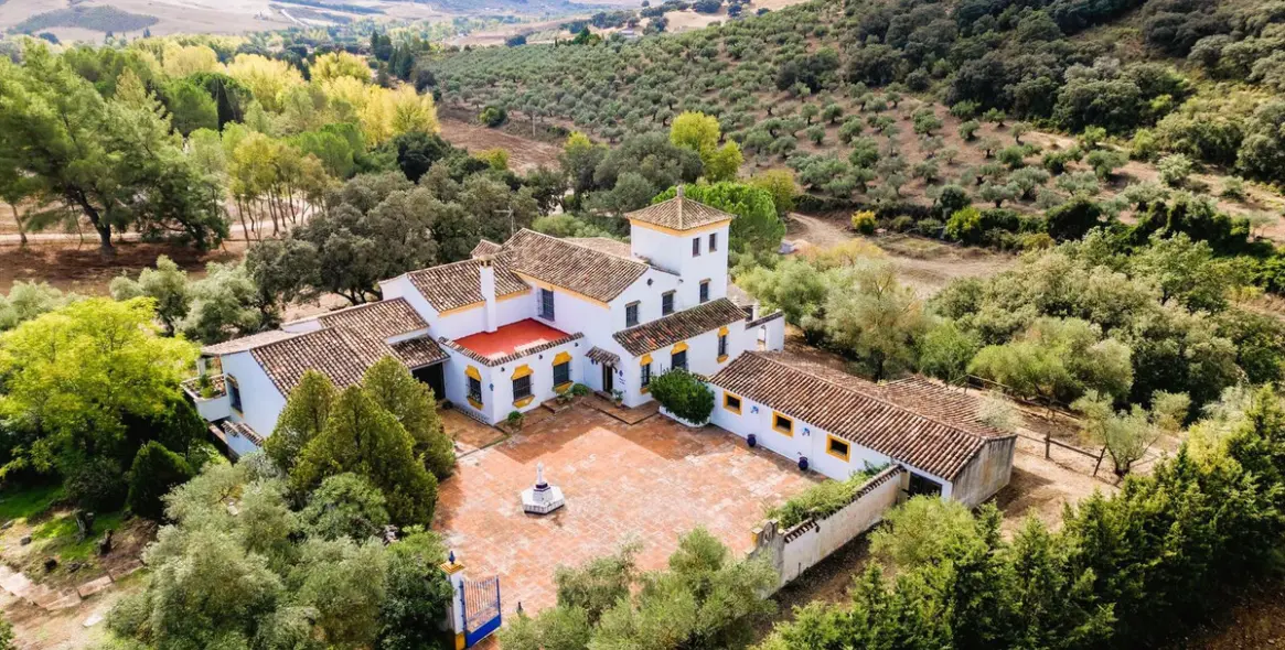 Venta de finca - cortijo en Ronda 40