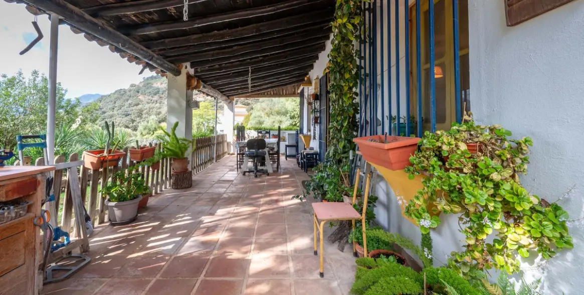 Venta de finca - cortijo en Ronda 43