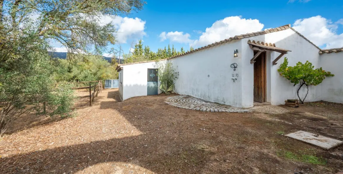 Venta de finca - cortijo en Ronda 46