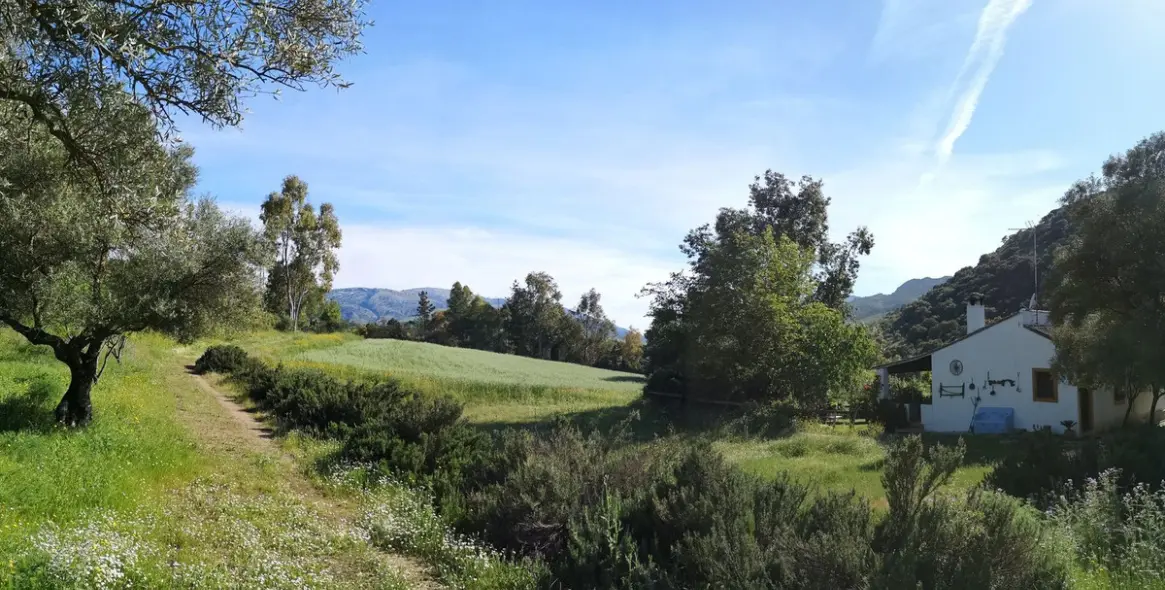 Venta de finca - cortijo en Ronda 55