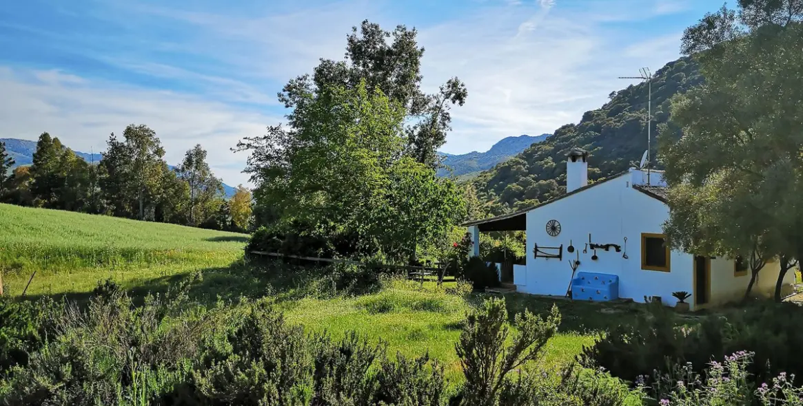 Venta de finca - cortijo en Ronda 57