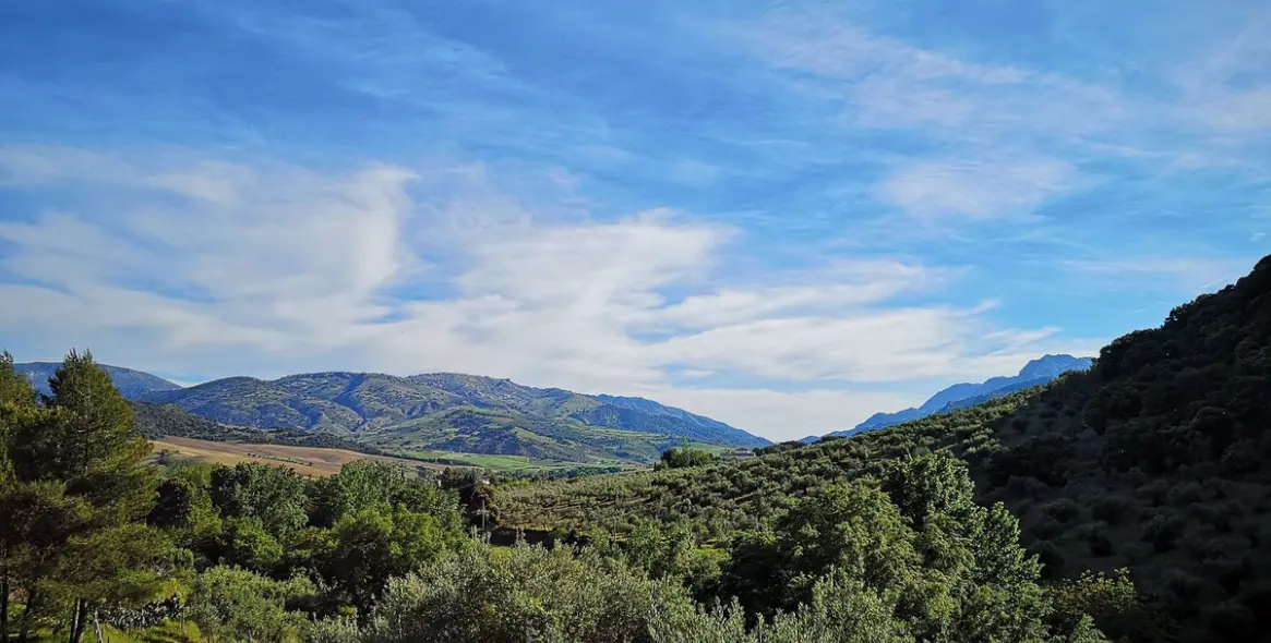 Venta de finca - cortijo en Ronda 59