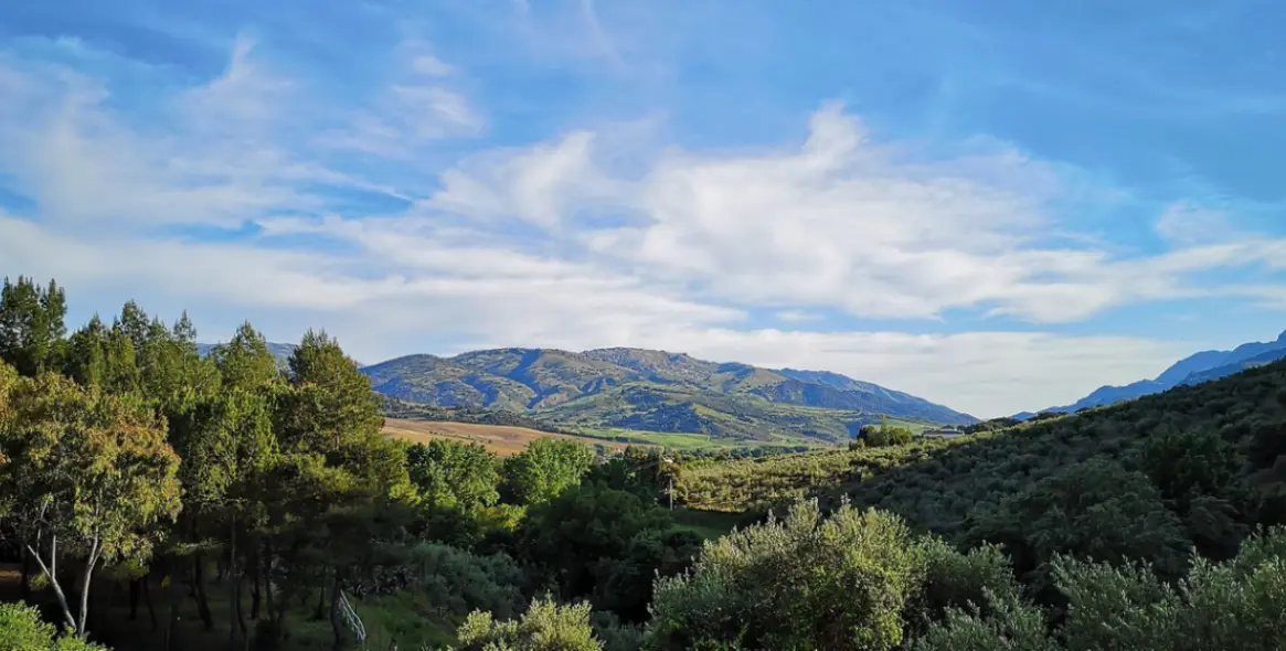Venta de finca - cortijo en Ronda 61