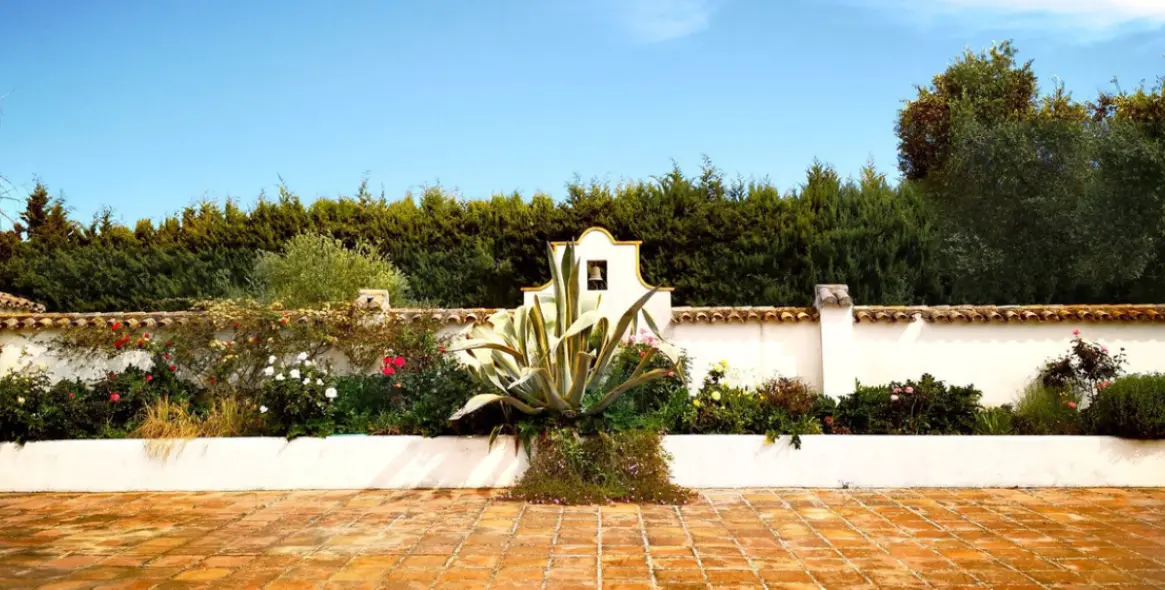 Venta de finca - cortijo en Ronda 62