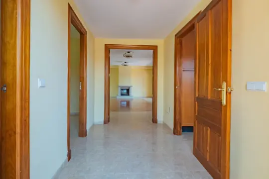 Image 7 thumb