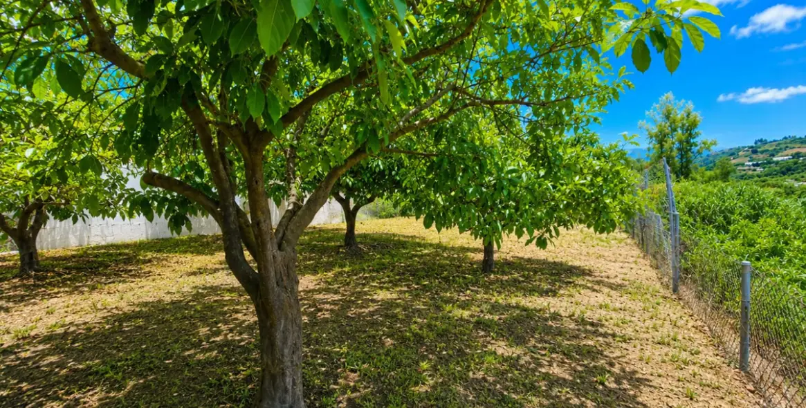 Venta de finca - cortijo en Estepona 26