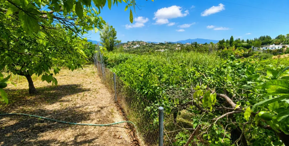 Venta de finca - cortijo en Estepona 27