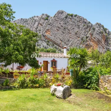 Venta de otros en Montejaque
