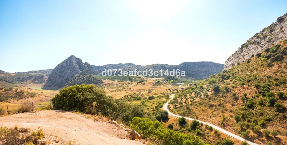 Venta de otros en Montejaque 3