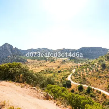 Venta de otros en Montejaque