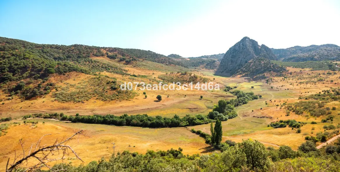 Venta de otros en Montejaque 4