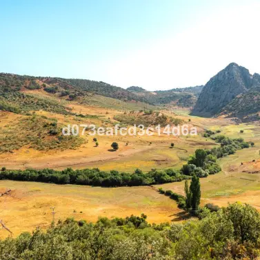 Venta de otros en Montejaque