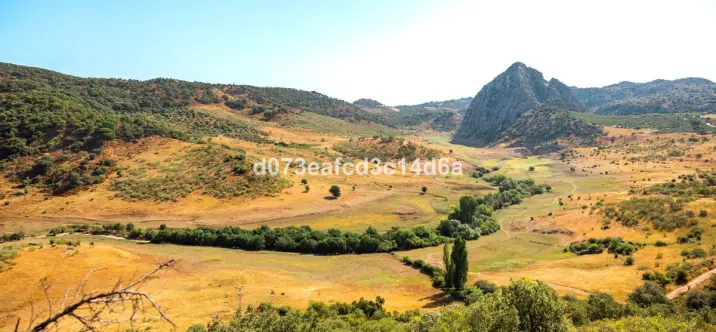 Venta de otros en Montejaque 3
