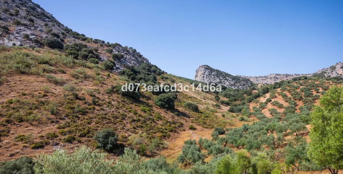 Venta de otros en Montejaque 5