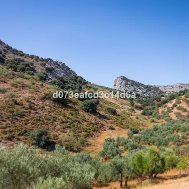 Venta de otros en Montejaque