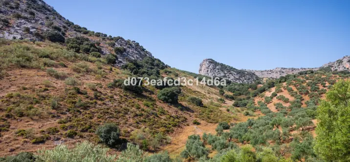 Venta de otros en Montejaque 4