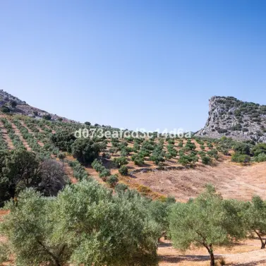 Venta de otros en Montejaque